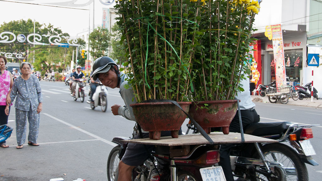 Moped mit riesigen Blumentöpfen in Vietnam