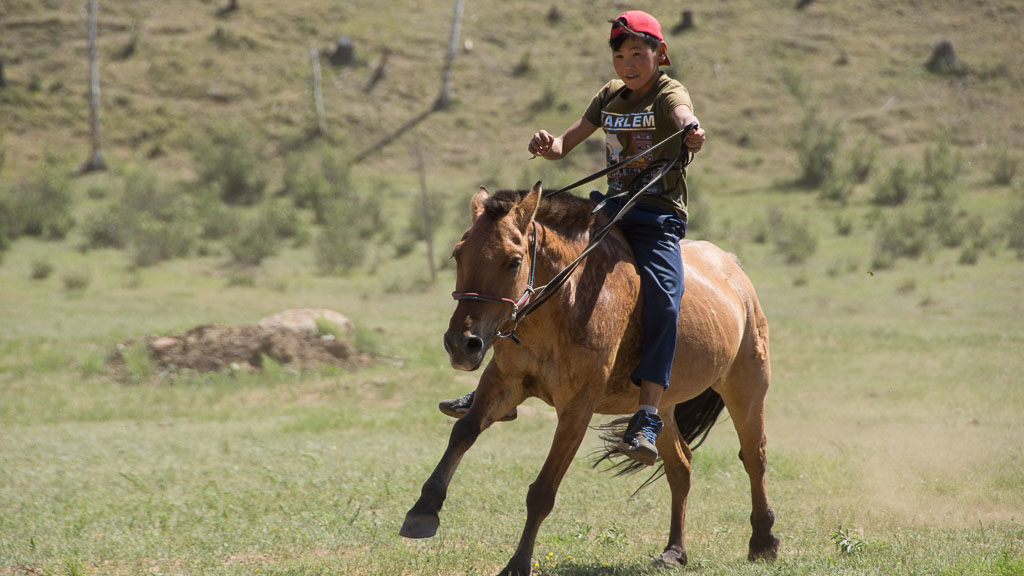 Kind auf einem Pferd in der Mongolei