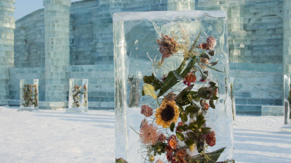 Eisblumen in der Ice & Snow World in Harbin